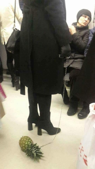Ankara metrosunda garip olay: Ananası tasmayla gezdirdi! 23
