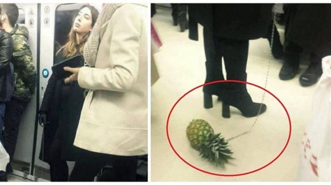Ankara metrosunda garip olay: Ananası tasmayla gezdirdi! 24