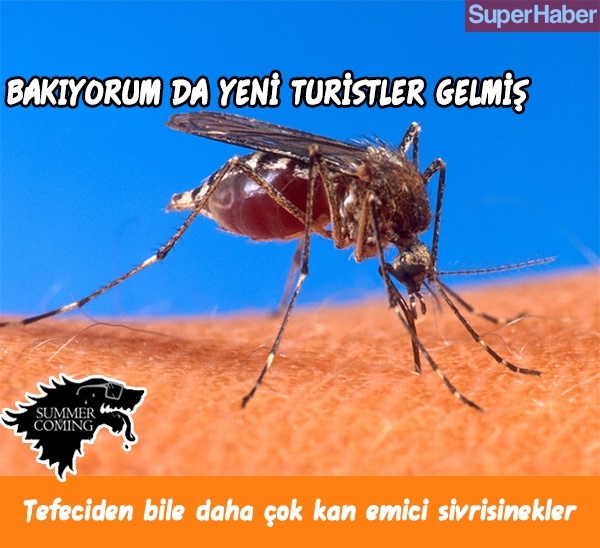 Yazın geldiğini iliklerimize kadar hissetmemizi sağlacak 14 şey... 6