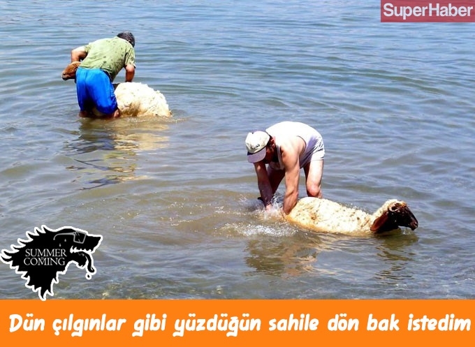 Yazın geldiğini iliklerimize kadar hissetmemizi sağlacak 14 şey... 9