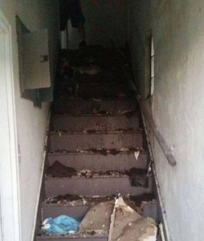 Yan komşunun evine girdiğinde gördükleri şoke etti! 5