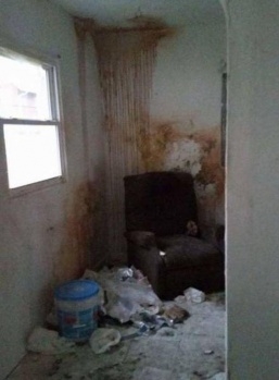 Yan komşunun evine girdiğinde gördükleri şoke etti! 3