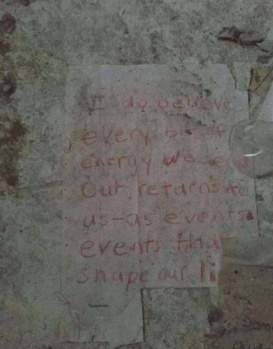 Yan komşunun evine girdiğinde gördükleri şoke etti! 13