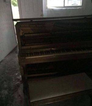 Yan komşunun evine girdiğinde gördükleri şoke etti! 2