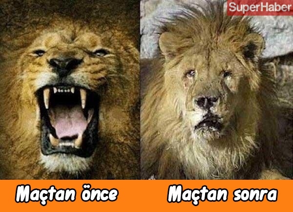 Galatasaray-Fenerbahçe derbisi sonrası caps yağdı! 6