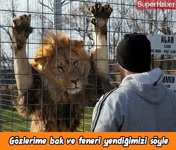 Galatasaray-Fenerbahçe derbisi sonrası caps yağdı! 4