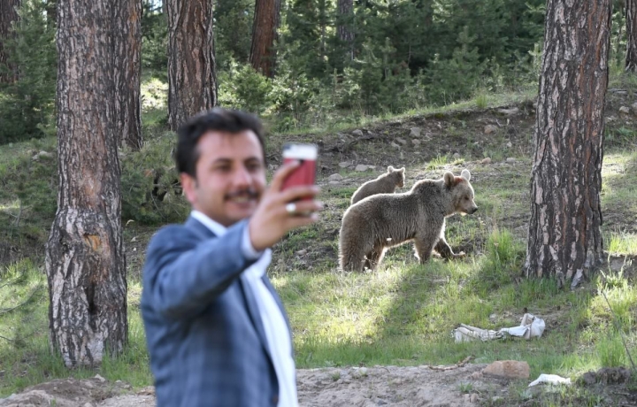 Kars'ta şehre inen ayılarla selfie keyfi! 12
