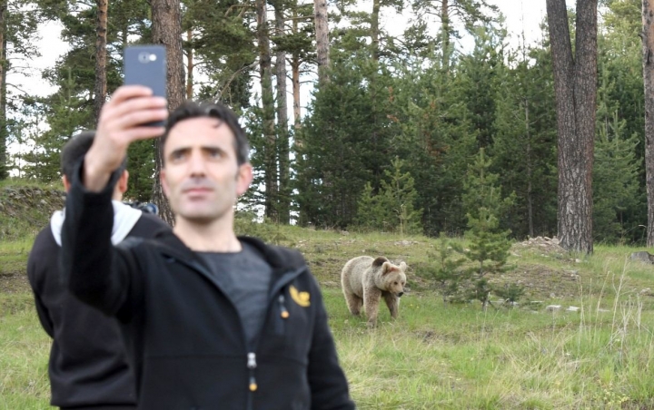 Kars'ta şehre inen ayılarla selfie keyfi! 8