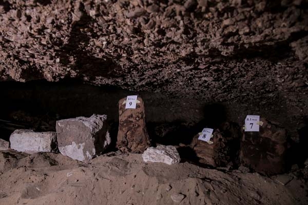 Şaşırtan araştırma! Almanlar açıkladı, Türk çıktılar... 10