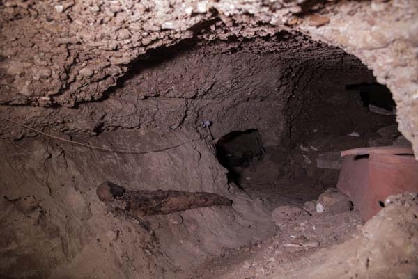 Şaşırtan araştırma! Almanlar açıkladı, Türk çıktılar... 12