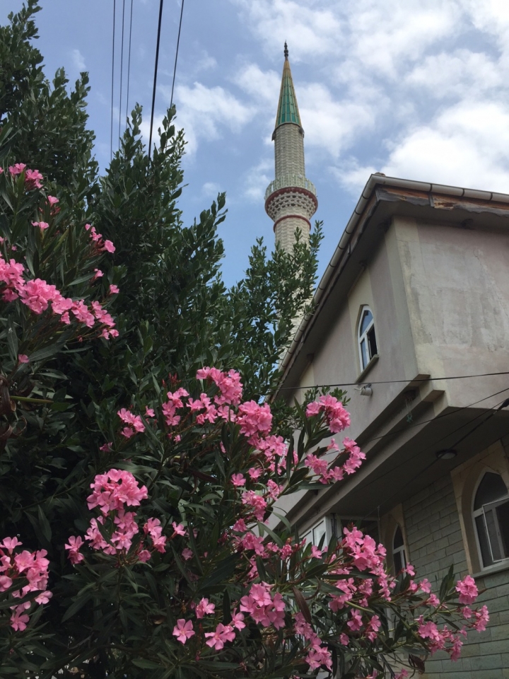 Sadeliğin üç günü 2