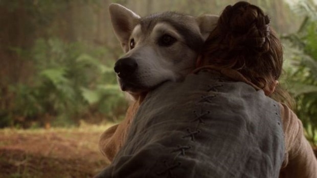 Game of Thrones'un etkisiyle Husky satışları patladı! 7