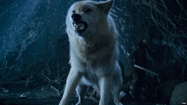 Game of Thrones'un etkisiyle Husky satışları patladı! 6