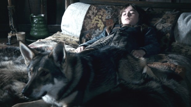 Game of Thrones'un etkisiyle Husky satışları patladı! 8