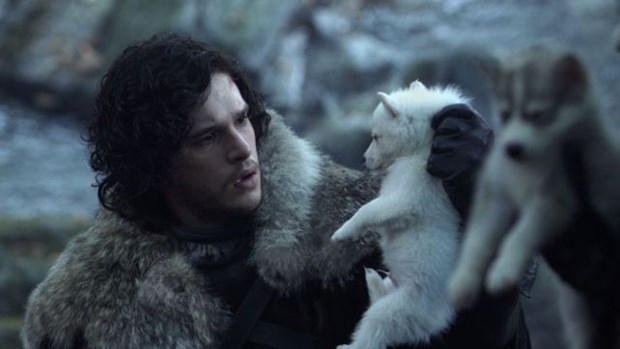 Game of Thrones'un etkisiyle Husky satışları patladı! 4