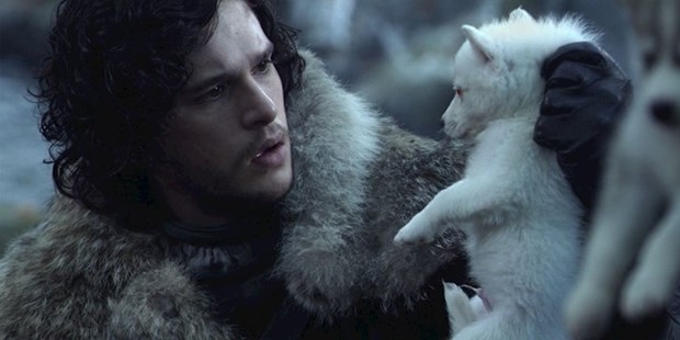 Game of Thrones'un etkisiyle Husky satışları patladı! 12