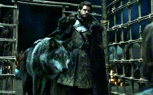 Game of Thrones'un etkisiyle Husky satışları patladı! 10