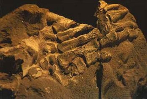Açıklanamayan tuhaf olaylar ve fotoğrafları! 19