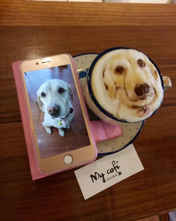 Kahve baristasından gerçekçi kahve köpüğü sanatı! 19