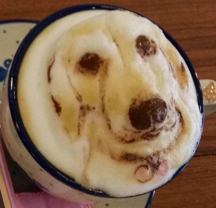 Kahve baristasından gerçekçi kahve köpüğü sanatı! 15