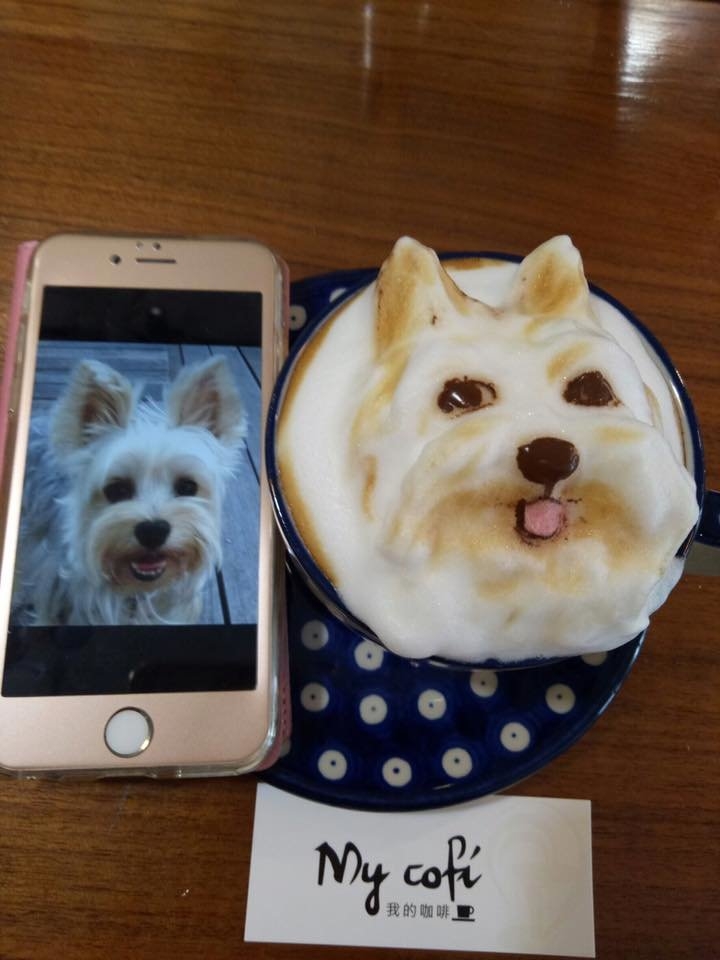 Kahve baristasından gerçekçi kahve köpüğü sanatı! 10