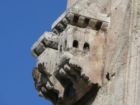 Osmanlı Devleti'nin sanat eseri kuş sarayları! 11