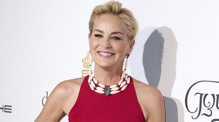 Sharon Stone'dan 25 yıl sonra gelen meşhur oturuş! 16