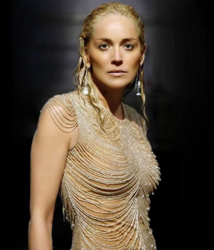 Sharon Stone'dan 25 yıl sonra gelen meşhur oturuş! 9