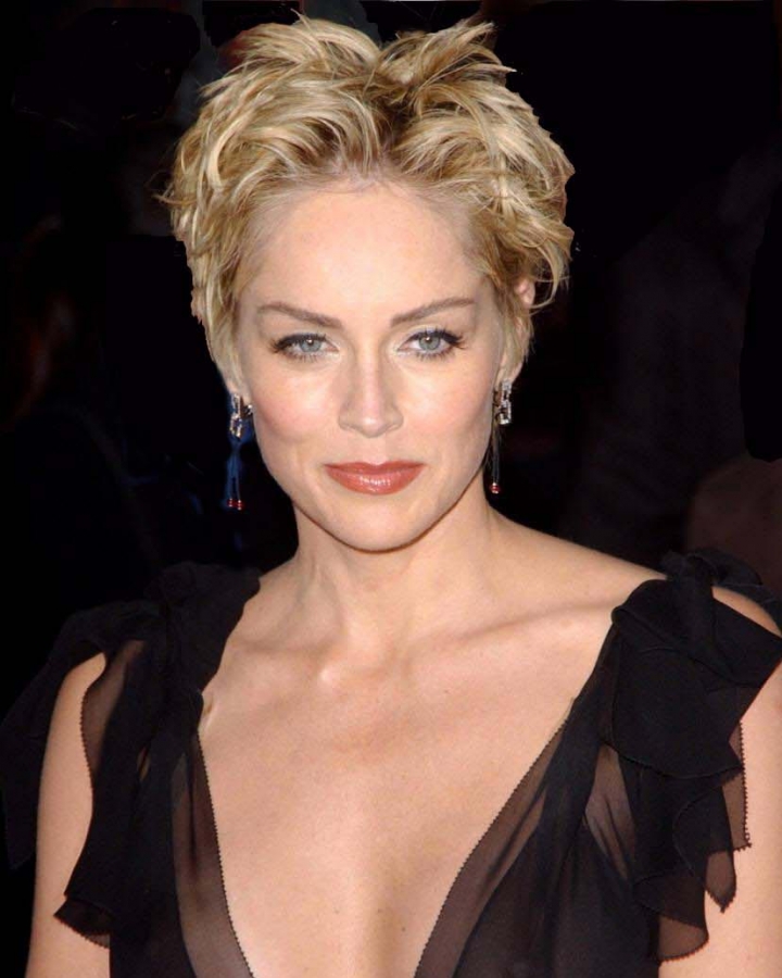 Sharon Stone'dan 25 yıl sonra gelen meşhur oturuş! 25