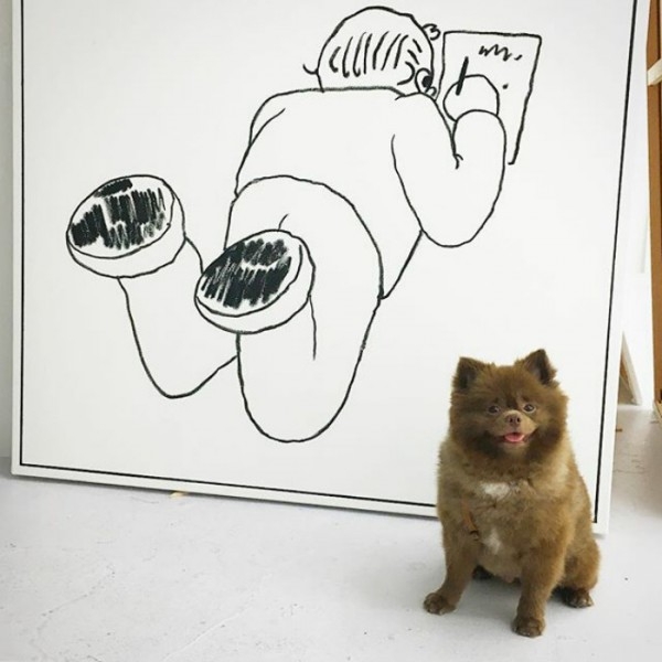 Ayıcık köpek Bert'in barınaktan sanat galerisine uzanan hikayesi... 8