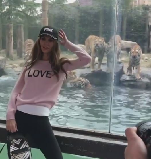 Tülin Şahin 'Victoria Secret' defilesinde boy gösterdi! 30