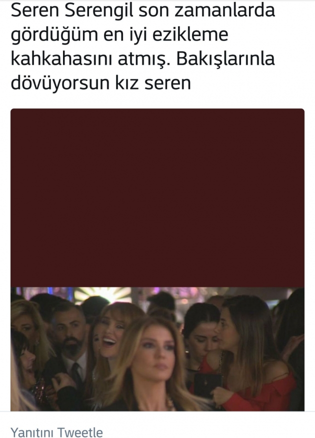 Gülben Ergen sosyal medyada böyle alay konusu oldu! 16