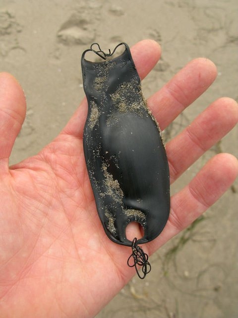 Kumsalda bunu buldu! İçini açınca şoke oldu... 3
