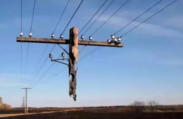 Tam 31 parmakla dünyaya geldi! 5