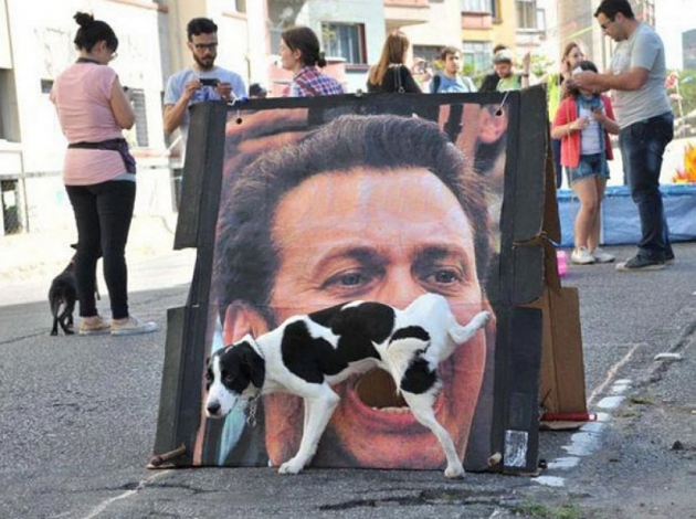 Müthiş zamanlamayla çekilen fotoğraflar! 16