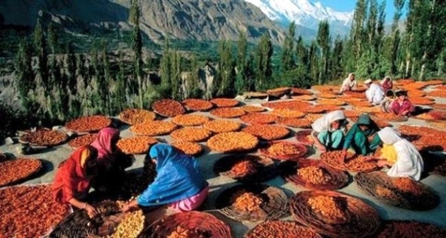 120 yaşına kadar yaşayan Hunza Türkleri'nin sırrı! 9