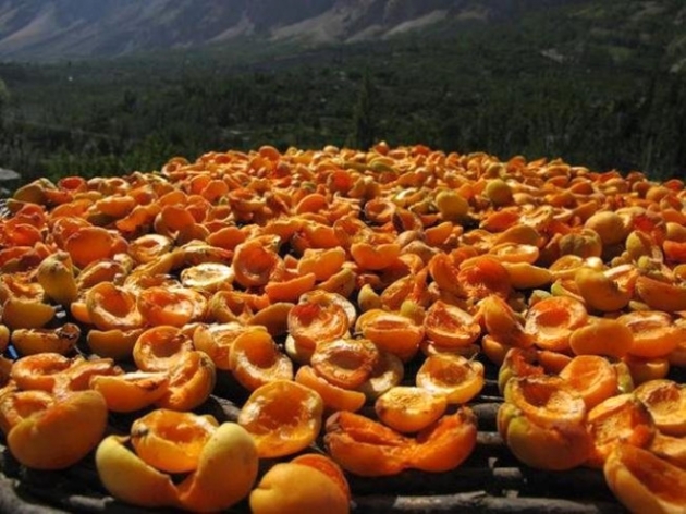 120 yaşına kadar yaşayan Hunza Türkleri'nin sırrı! 10
