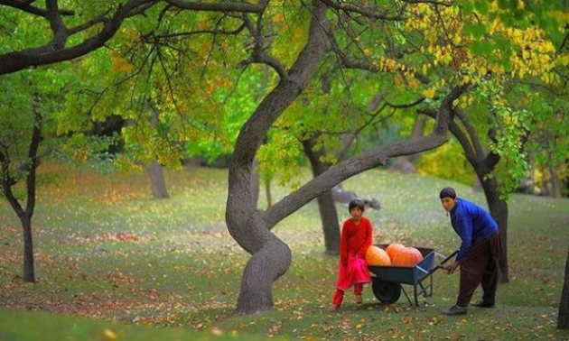 120 yaşına kadar yaşayan Hunza Türkleri'nin sırrı! 12