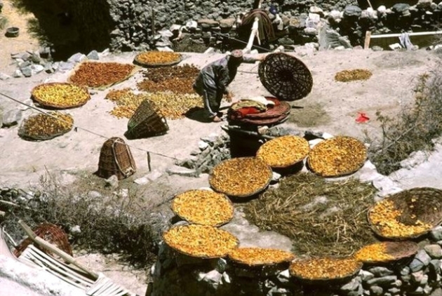 120 yaşına kadar yaşayan Hunza Türkleri'nin sırrı! 11