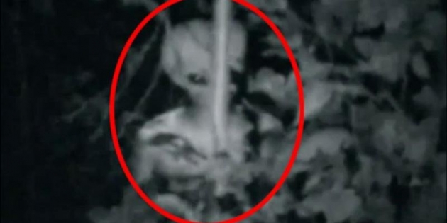 Uzaylılar ile ilgili korkutan uyarı! 8