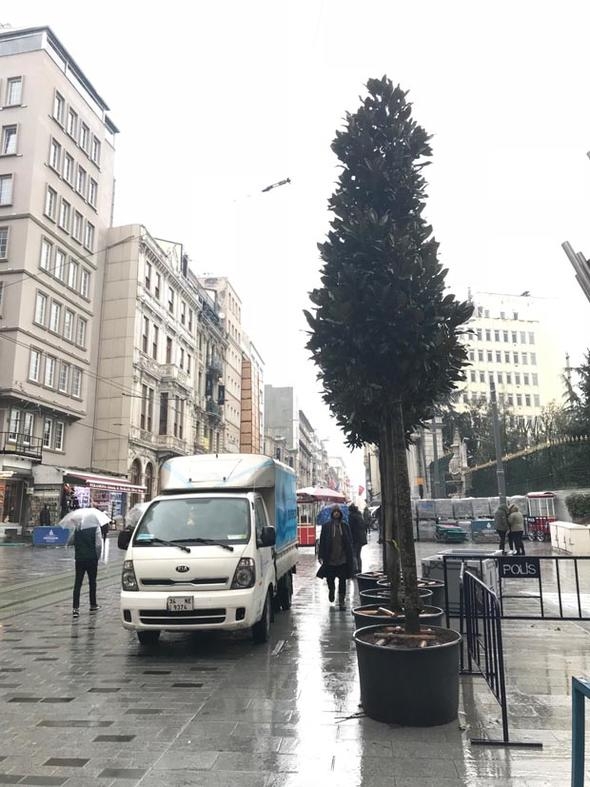 Taksim ve İstiklal Caddesi yeşillendiriliyor... 9