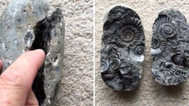 Küçük kız oyuncak sandı, bakın ne çıktı! 5