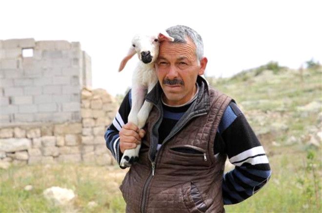 Hayalet köyde tek başlarına yaşıyorlar! 10
