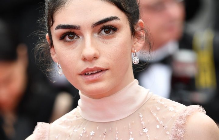 Ahlat Ağacı, Cannes'a damga vurdu! 11