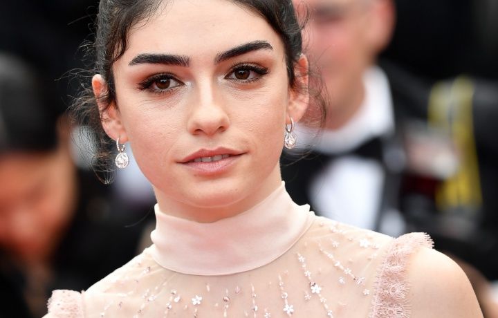 Ahlat Ağacı, Cannes'a damga vurdu! 22