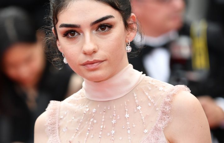 Ahlat Ağacı, Cannes'a damga vurdu! 21
