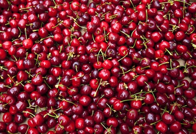 Her gün 1 kase yerseniz bakın ne oluyor! 6