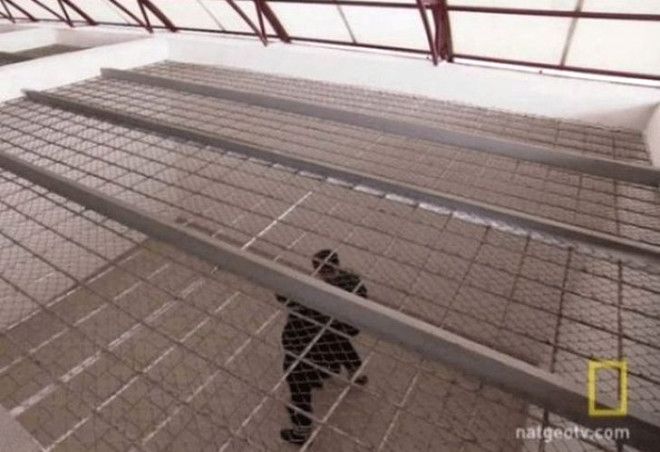 İnsanlar korkudan buraya yaklaşamıyor! 17