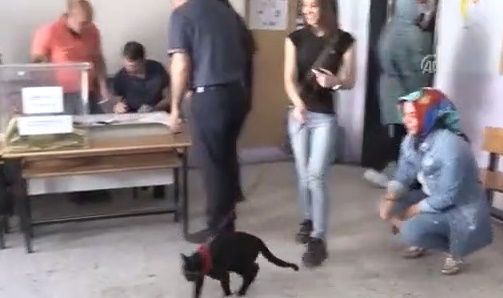 Türkiye'den seçim manzaraları... 9