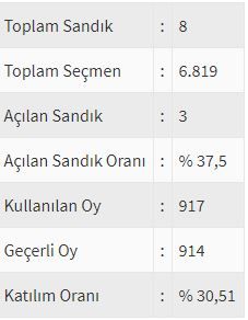 İşte ülke ülke yurtdışı seçim sonuçları! 94